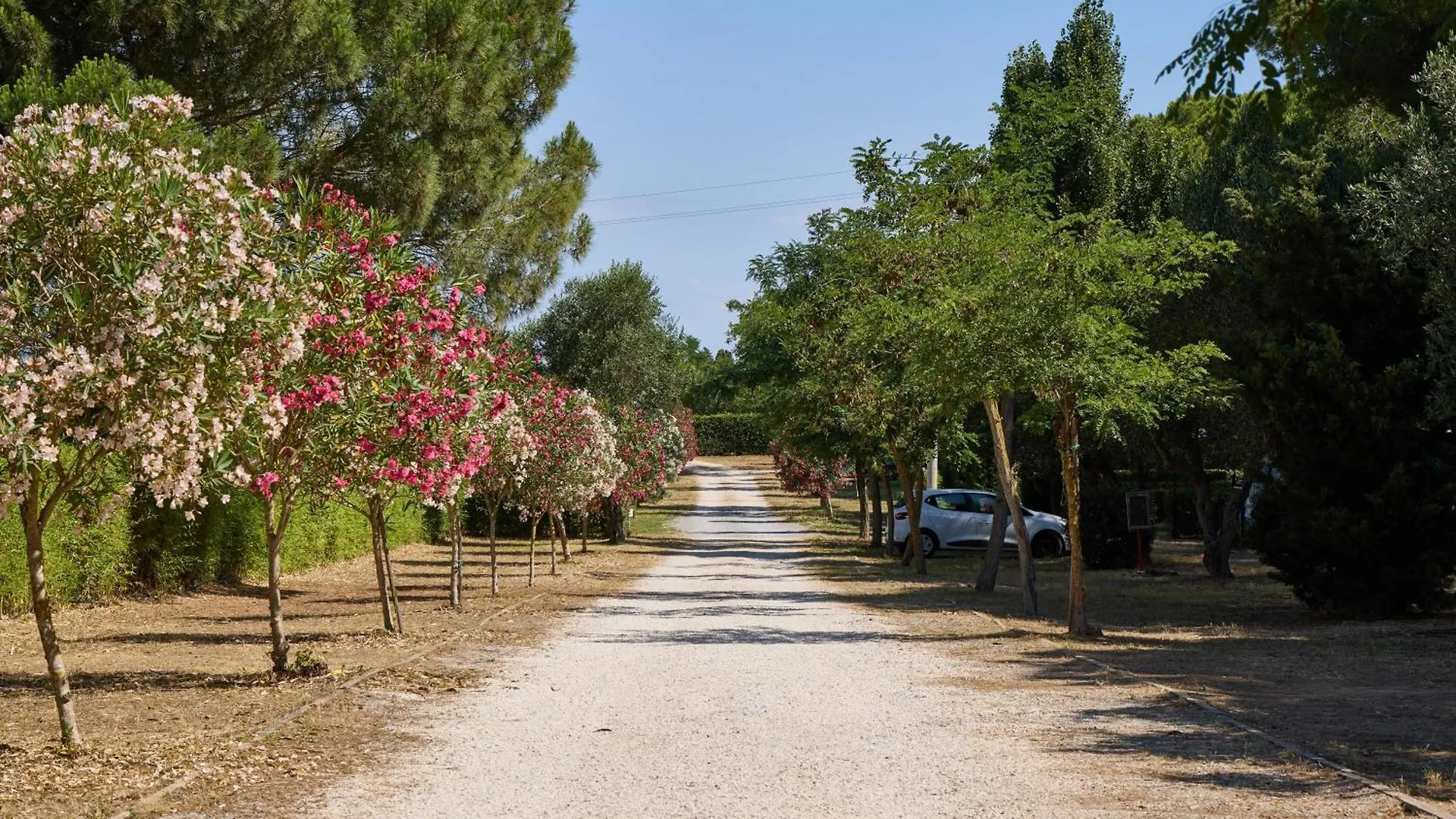 Costa D'Argento - Camping Village Club Capalbio Italy