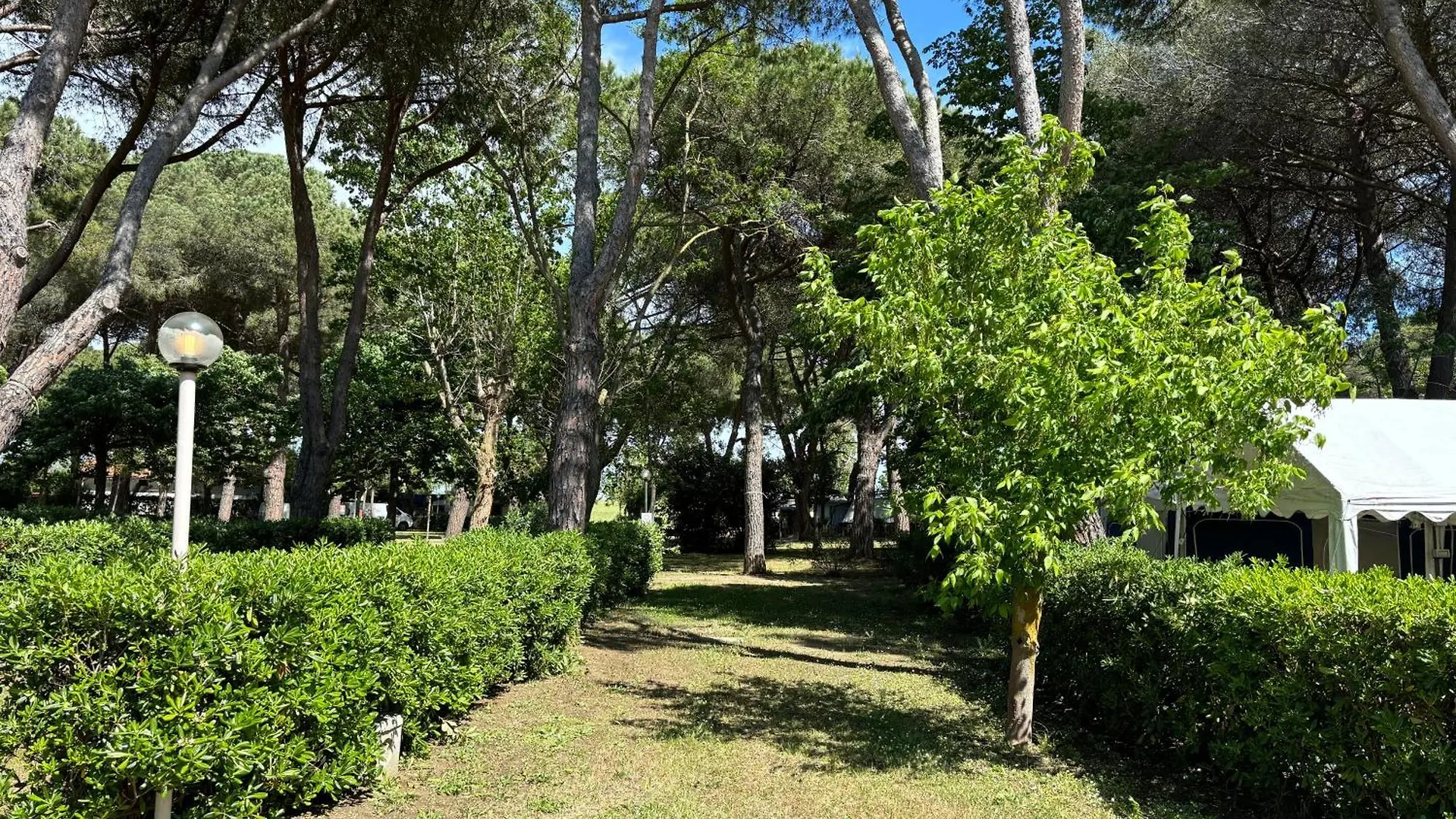 Costa D'Argento - Camping Village Club Capalbio