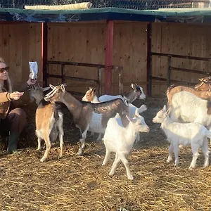  Villa Azienda Agricola I Casali Del Troscio