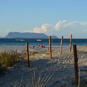 L'ulivo Casa vacanze Budoni
